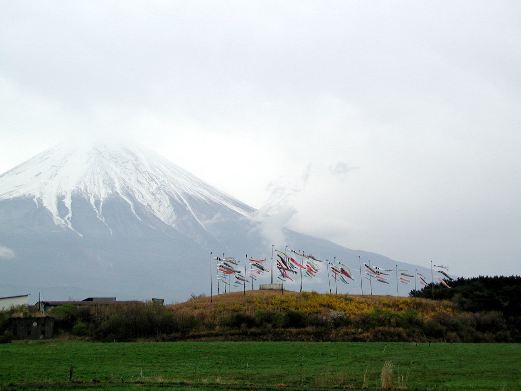 ���������@�����̂ڂ�ƕx�m�R