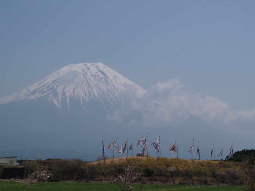 �������� �����̂ڂ�ƕx�m�R