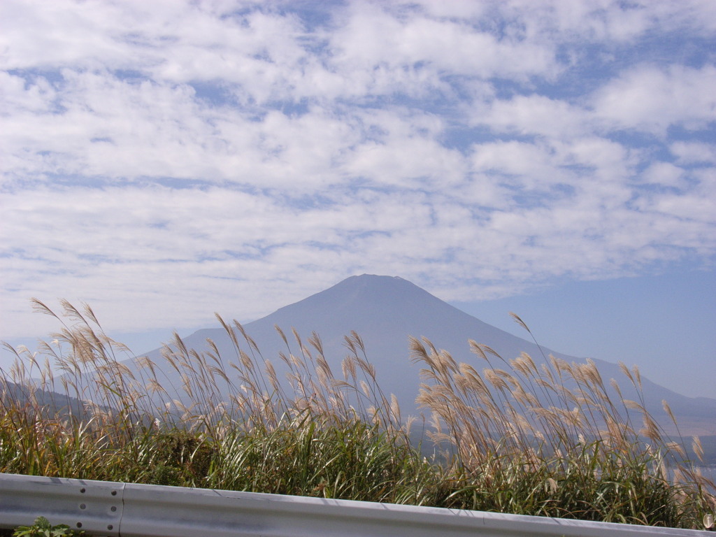 �x�m�K��@�X�X�L�Ɖ_�ƕx�m�R