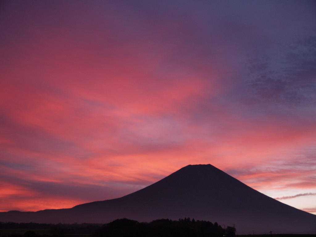 �x�m�K��@���Ă��̕x�m�R