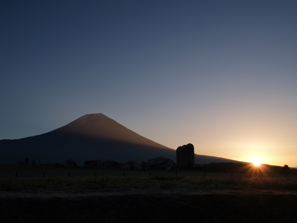 ���������@�q�ꂩ��̓��̏o�̕x�m�R