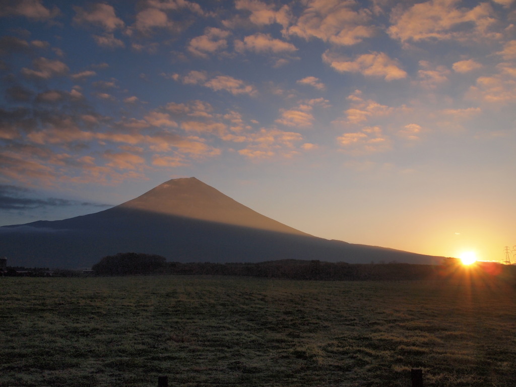 ���������@���Ă��ƕx�m�R