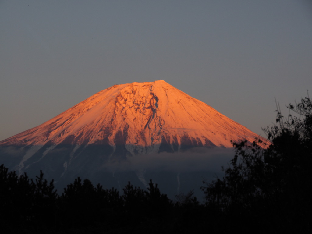 ���������@�[�Ă��̕x�m�R