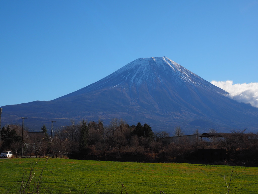 ���������@����₩�p�[�N����̕x�m�R