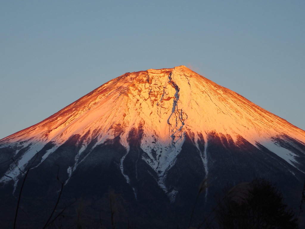 ���������I�[�g�L�����v��