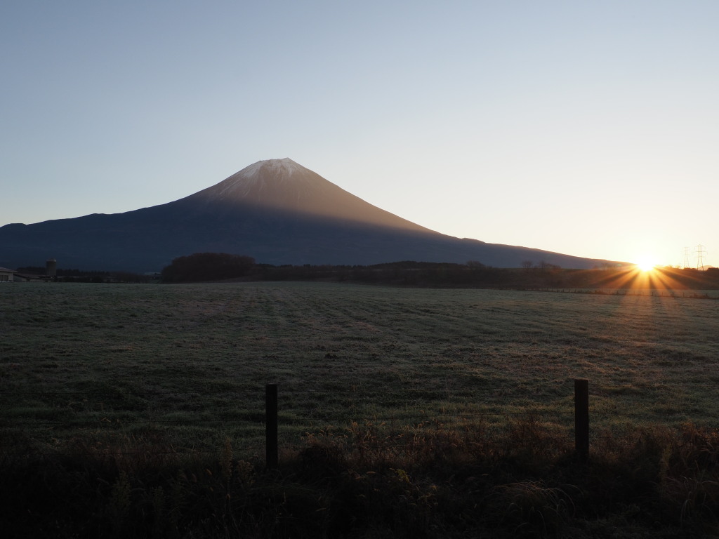 ���������I�[�g�L�����v�� ���̏o