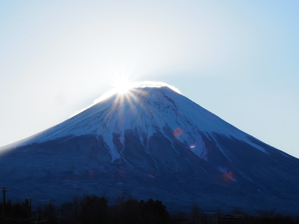 �������� ���̏o