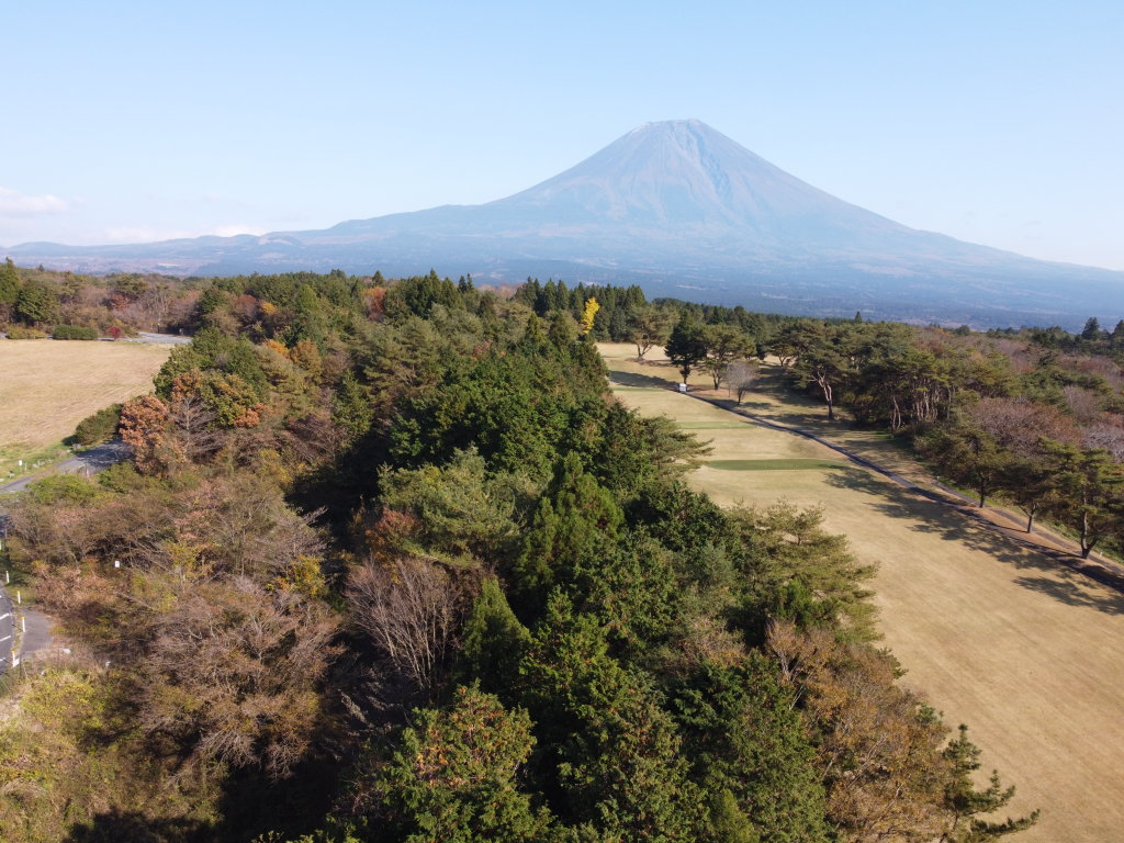 �����A���[�i ��B