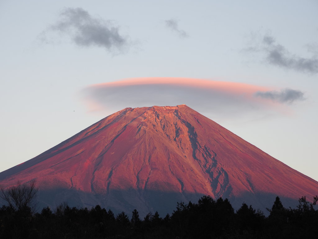 �����A���[�i �[�Ă�