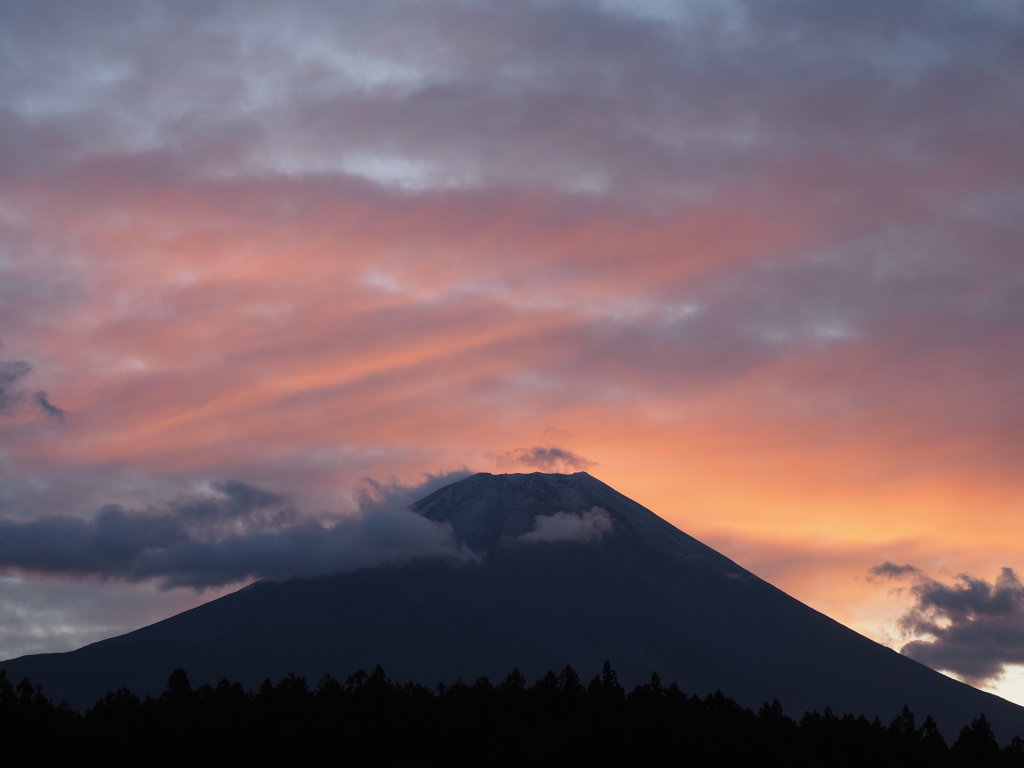 �������� ���̉w ���Ă�