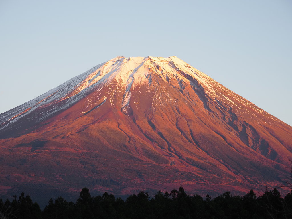 �������� �[�Ă��̕x�m�R