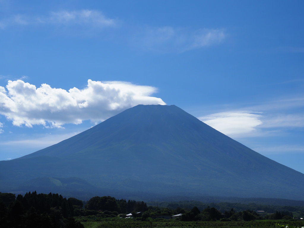 �x�m�K�� ����̕x�m�R