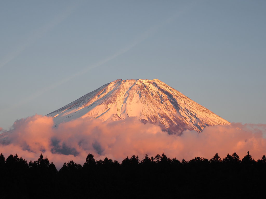 �������� �[�Ă��̕x�m�R