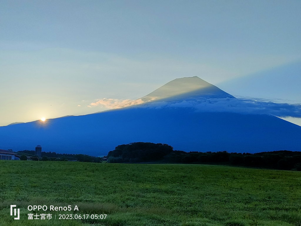 �������� ���Ă��̕x�m�R