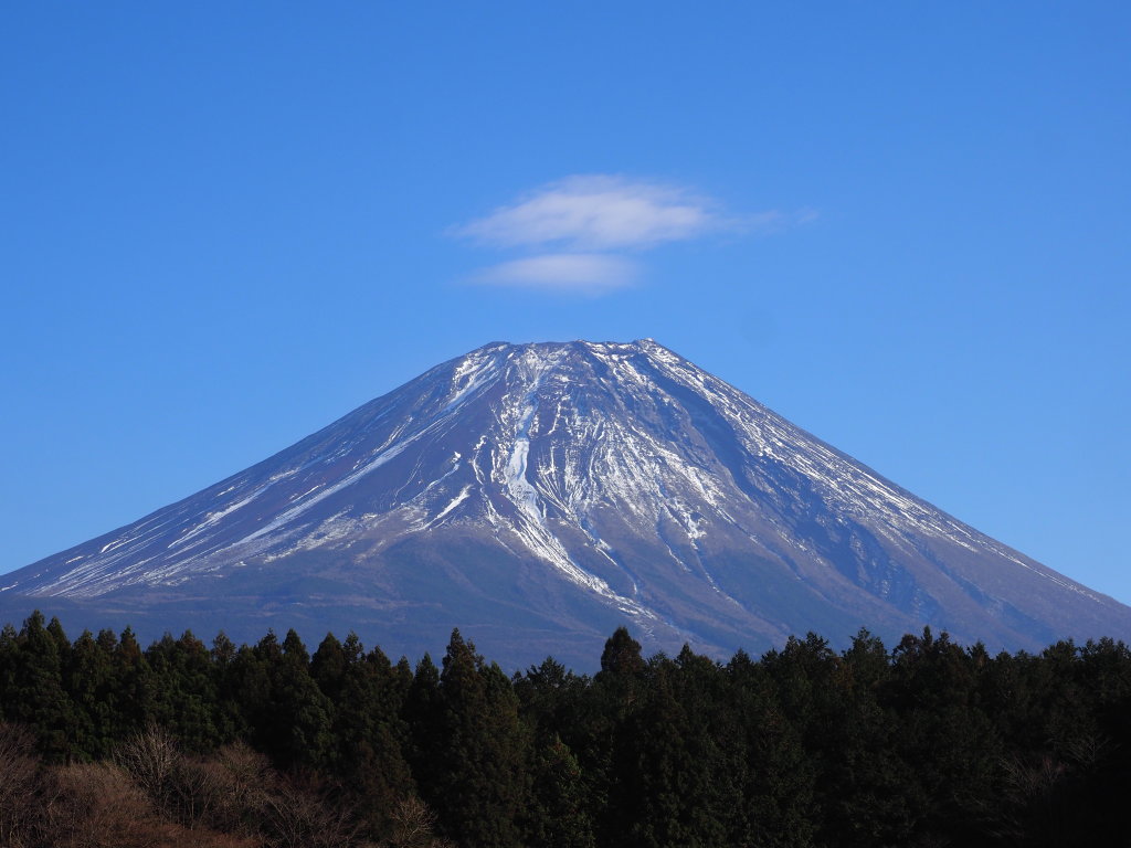 �������� ���Ă��̕x�m�R