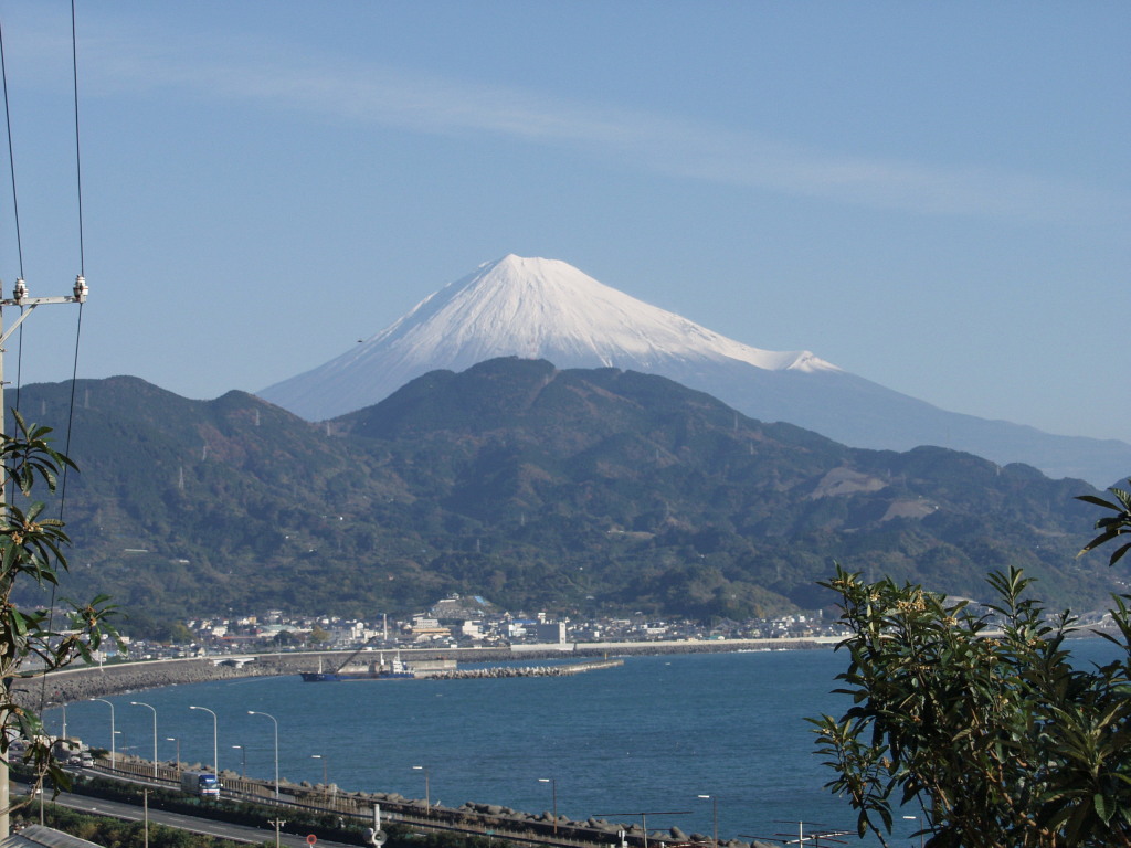 ����@������������̕x�m�R