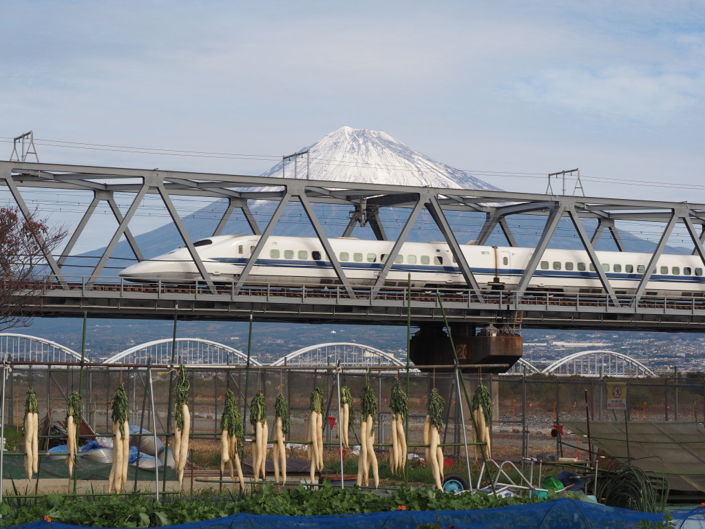 �x�m��@�_�C�R�������ƐV����