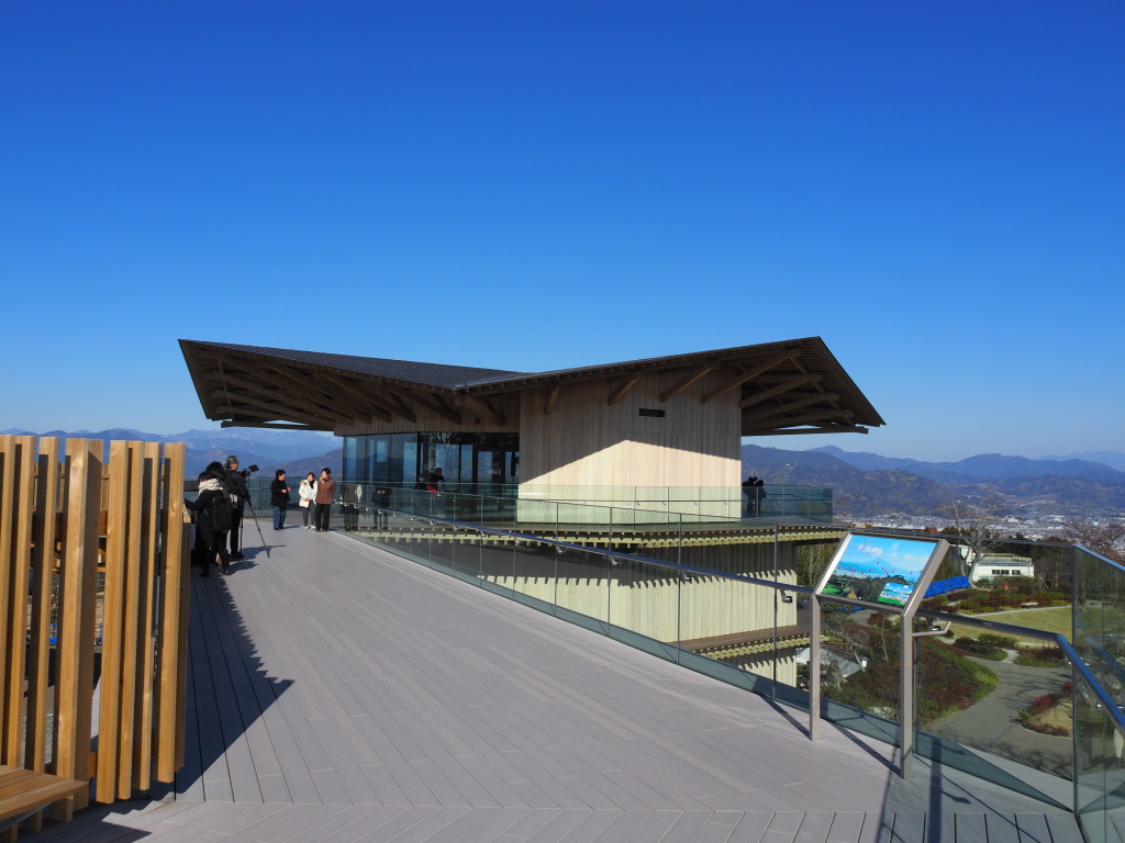 ���{�����e���X