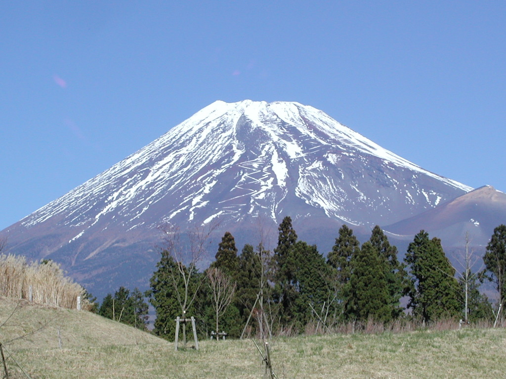 �\���؁@���ǂ��̍�����̕x�m�R