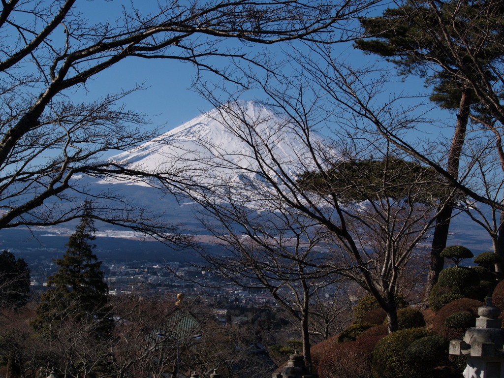 ��a��@���a��������̕x�m�R