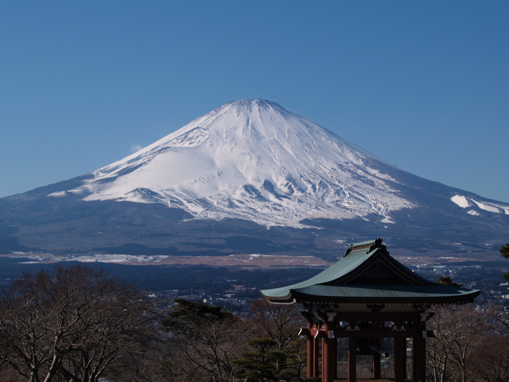 ��a��@�ޏ����ƕx�m�R