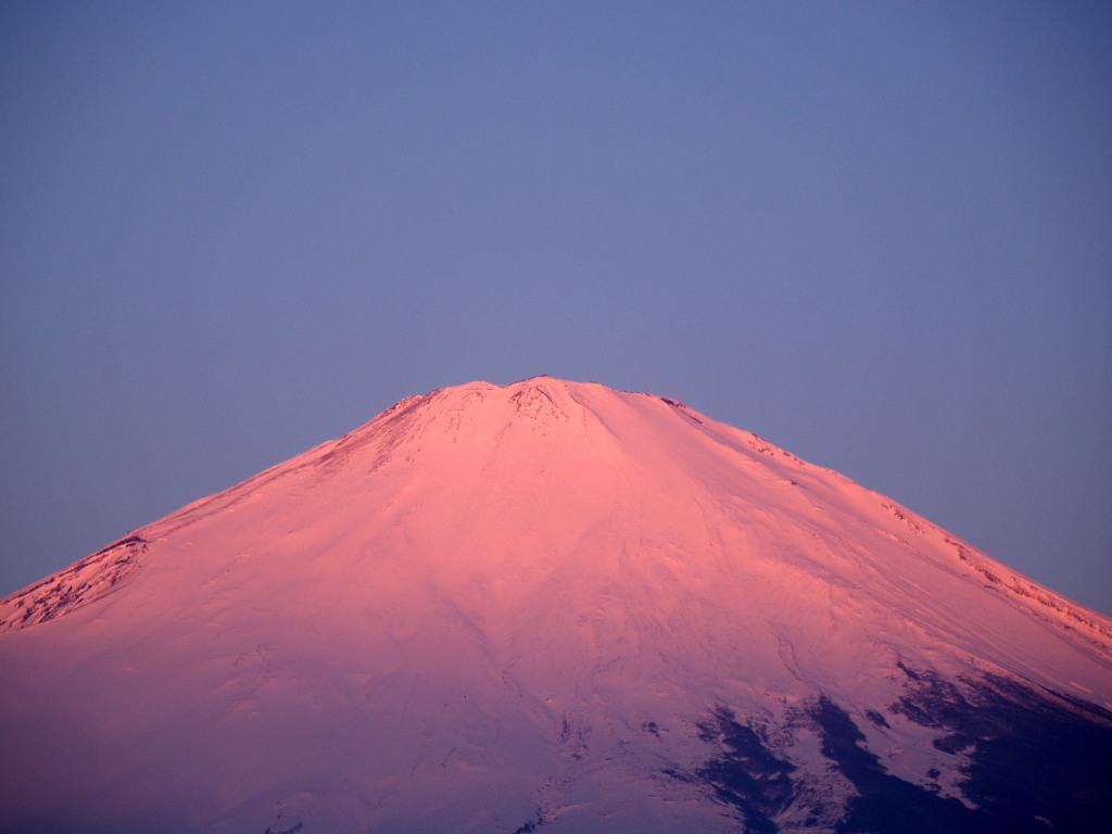 ���R�@�g�x�m�̃A�b�v