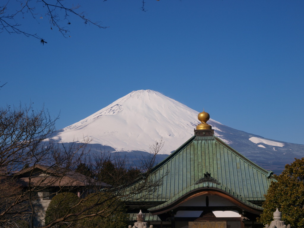 ��a��@�ޏ����ƕx�m�R