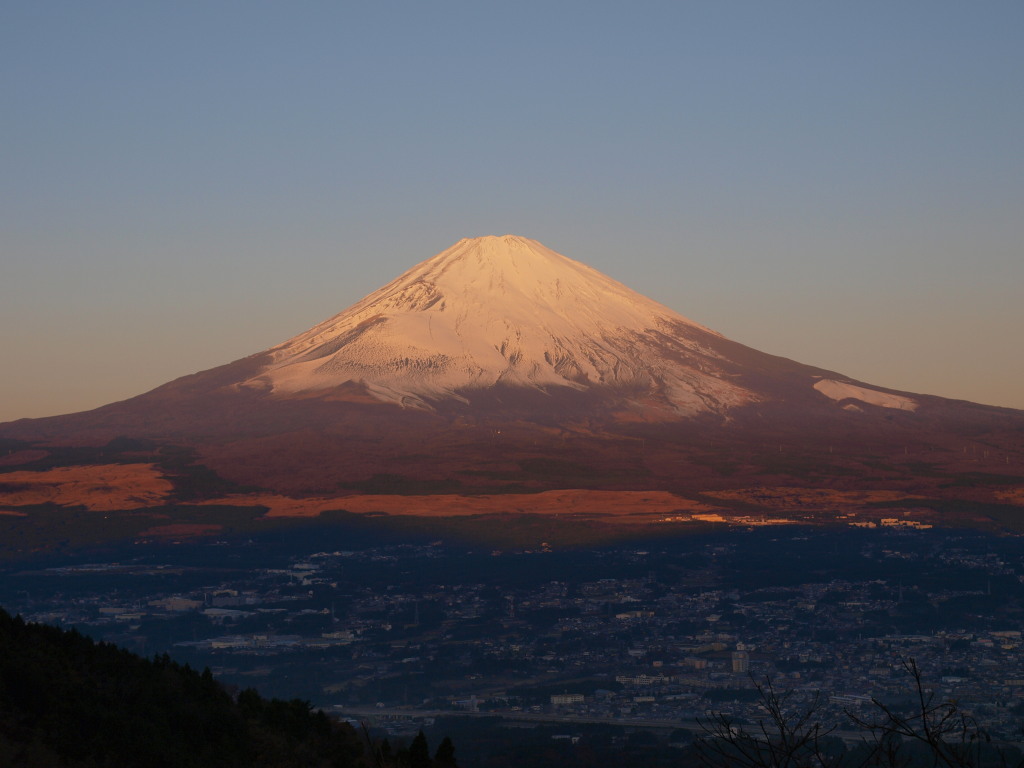 ��a��@���Ă��̕x�m�R