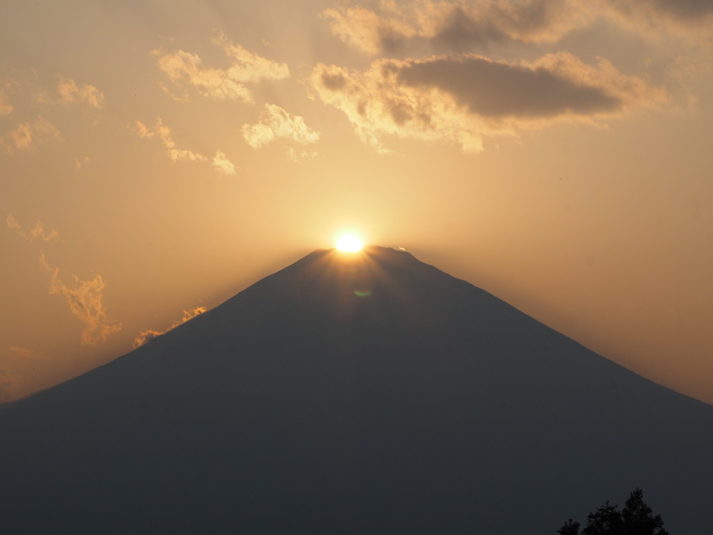 ��a��@����������̃_�C�������h�x�m