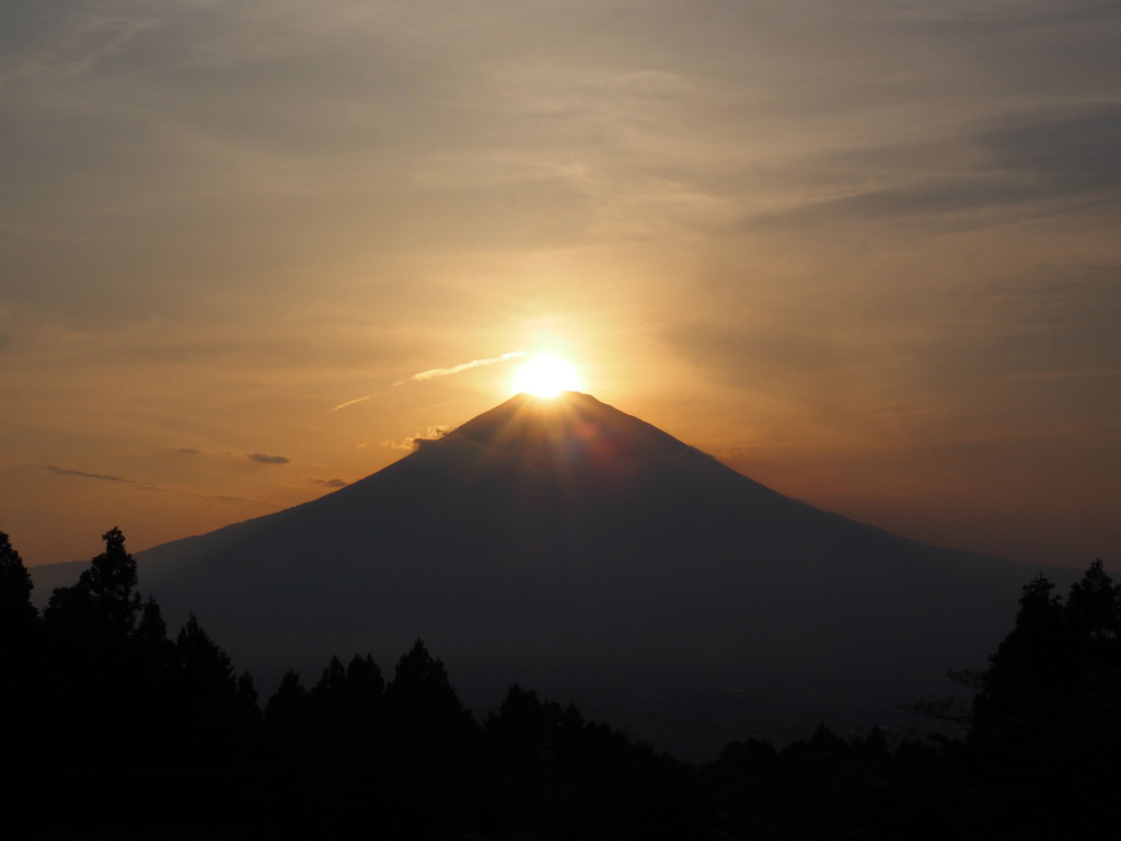 ��a��@����������̃_�C�������h�x�m