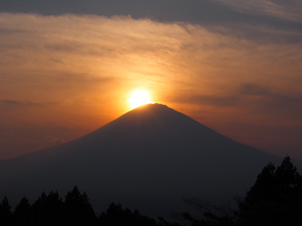 ��a��@����������̃_�C�������h�x�m