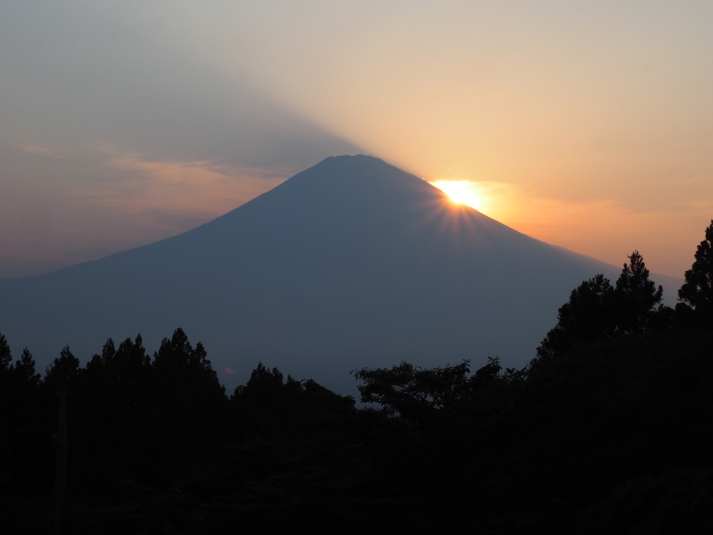 ��a��@����������̓��̓���̕x�m�R