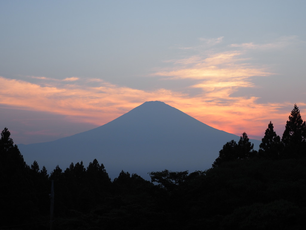 ��a��@����������̓��̓���̕x�m�R