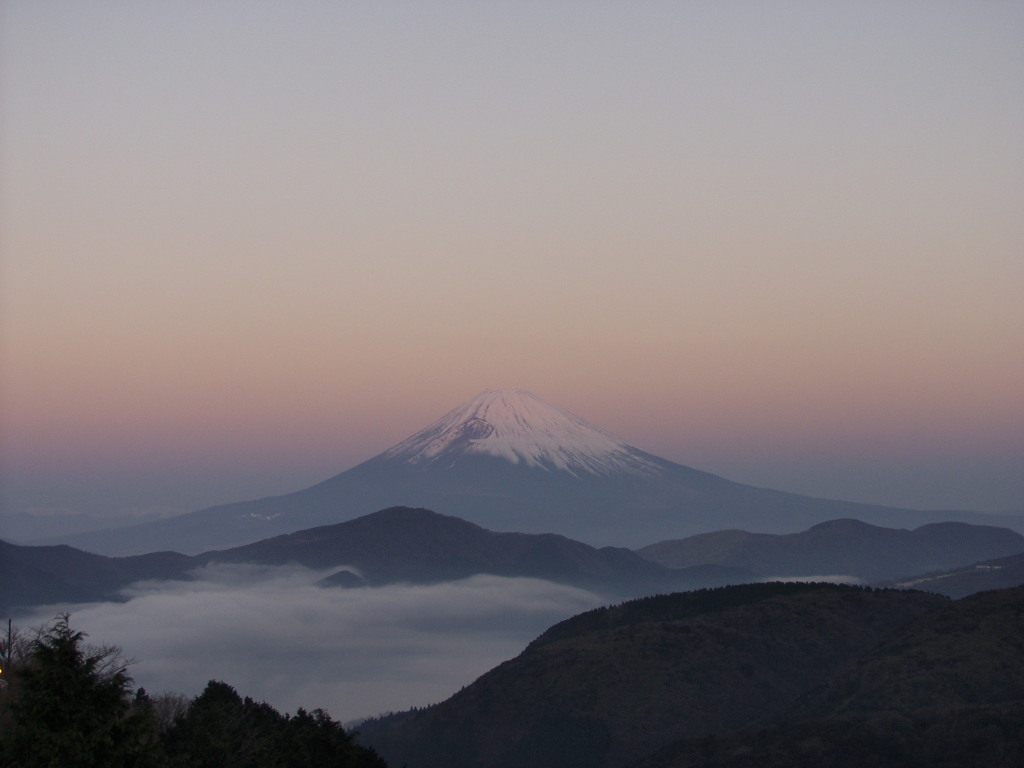 �����@�_�C�ƍg�����܂�x�m�R