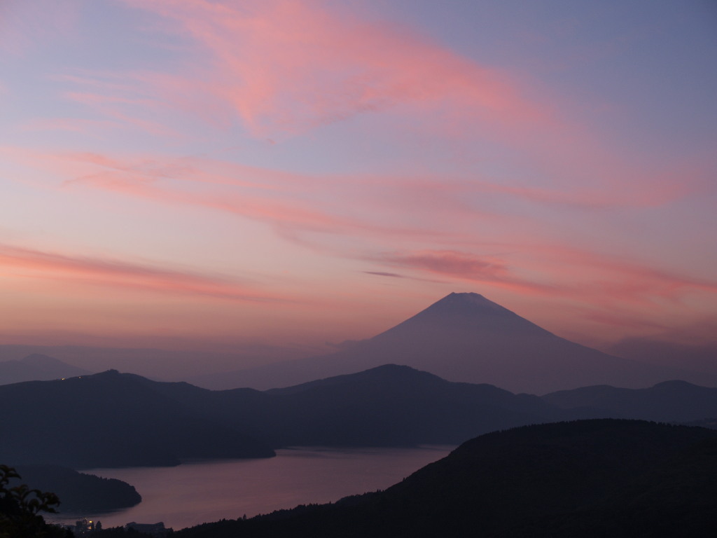 �����@�[�Ă��ƕx�m�R