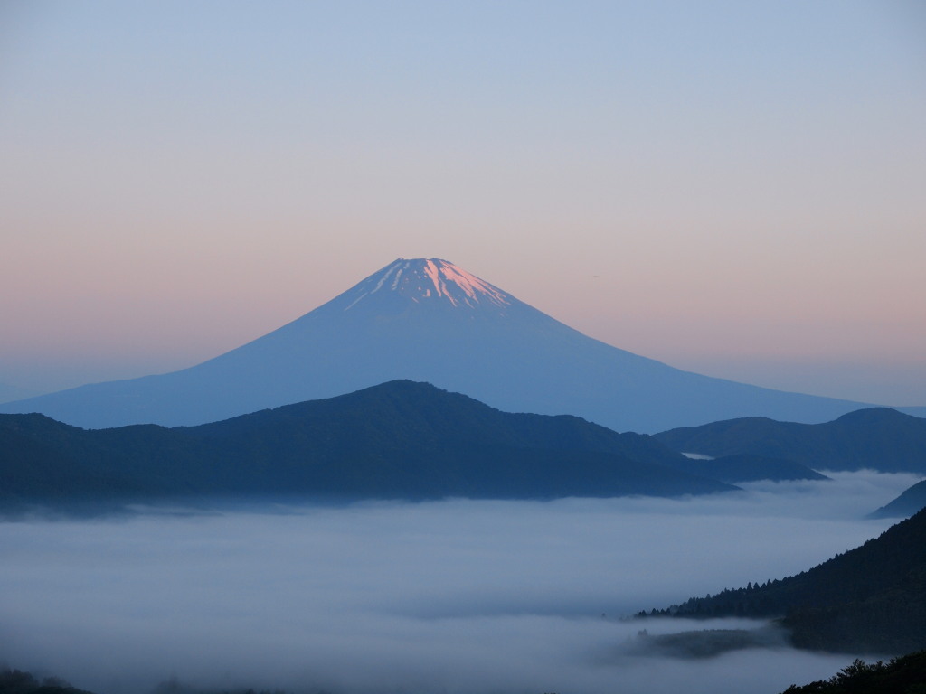 �����@�_�C�ƒ��Ă��̕x�m�R