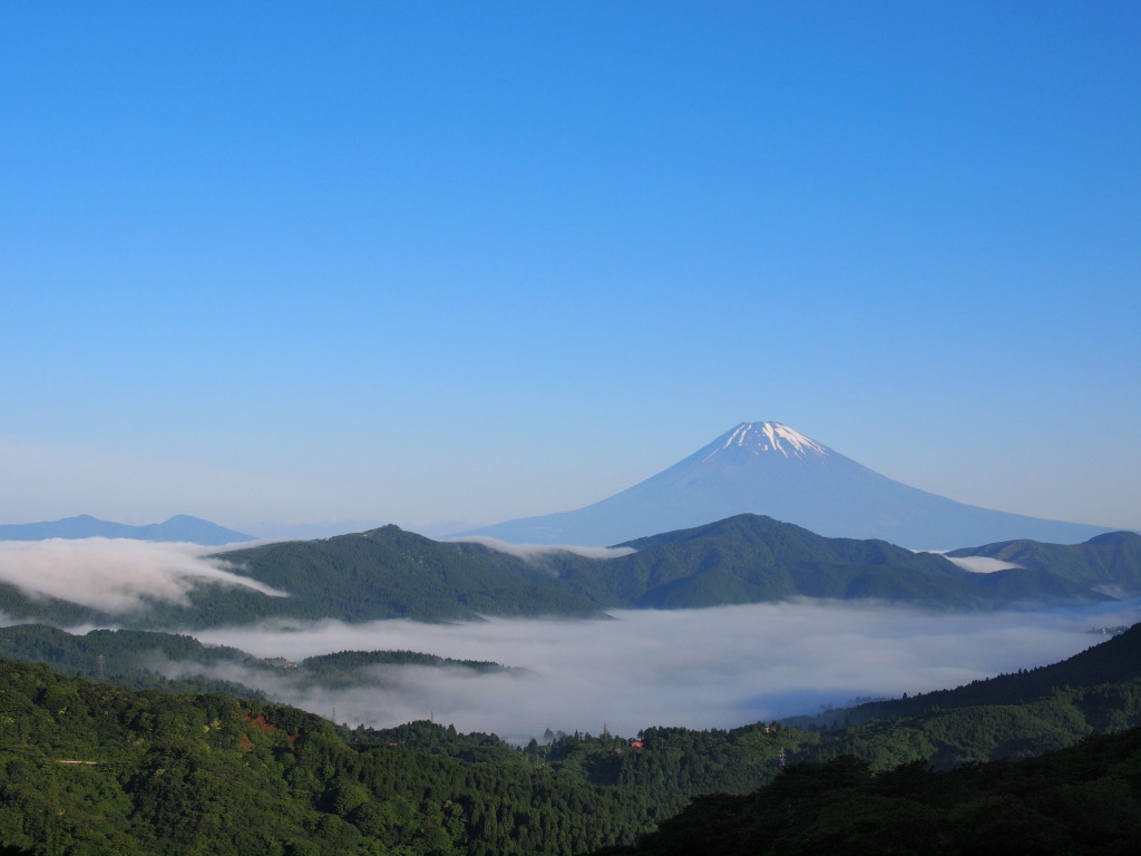 �����@�����R���z�����_�C�ƕx�m�R