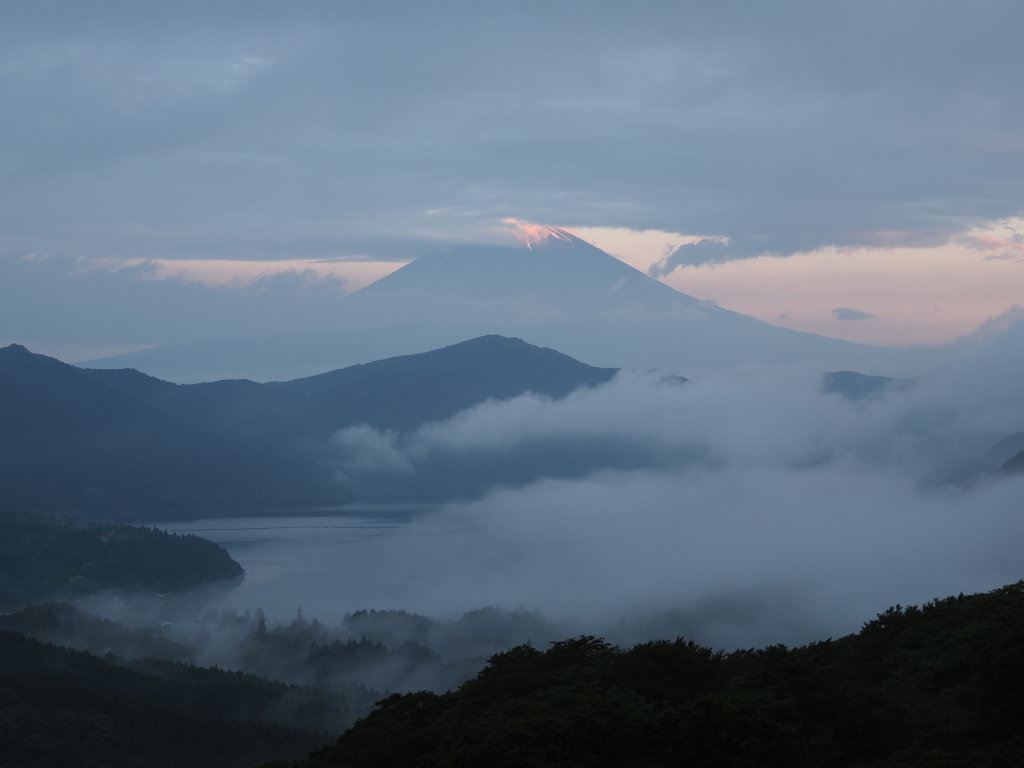 ��ώR����