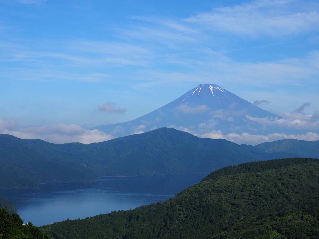 ��ώR����