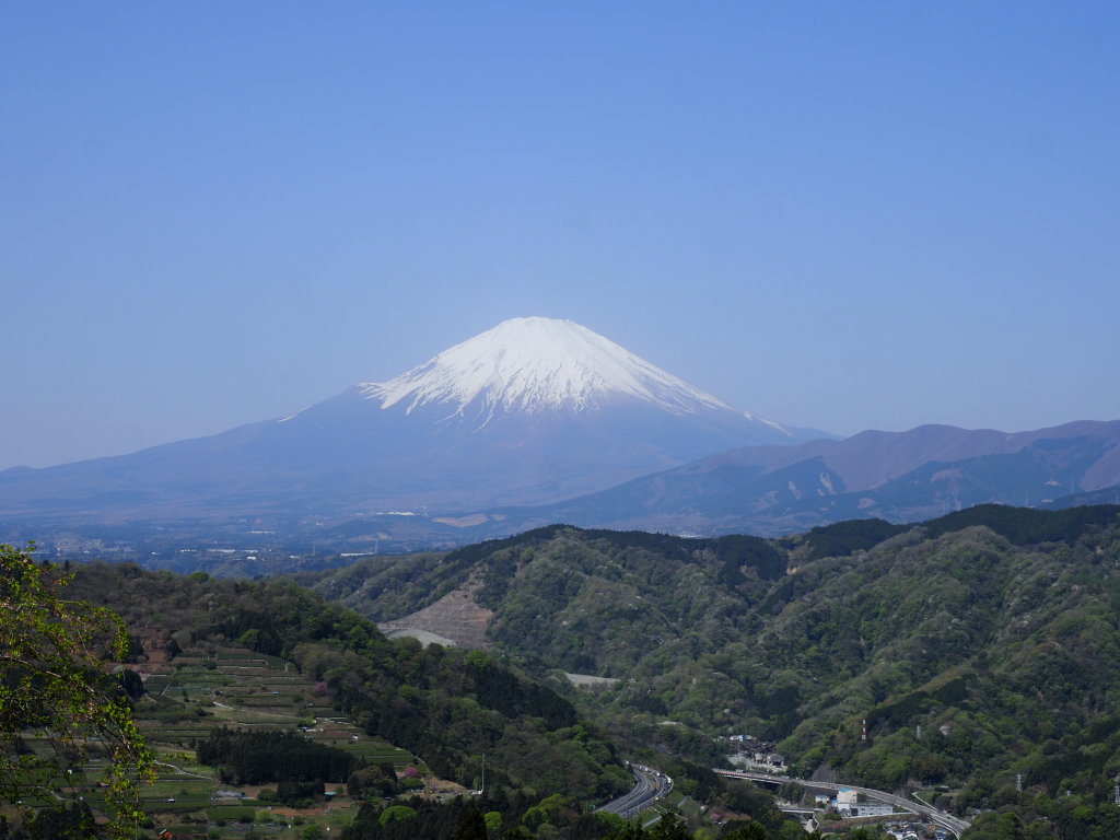 �Ԃ�̌�������