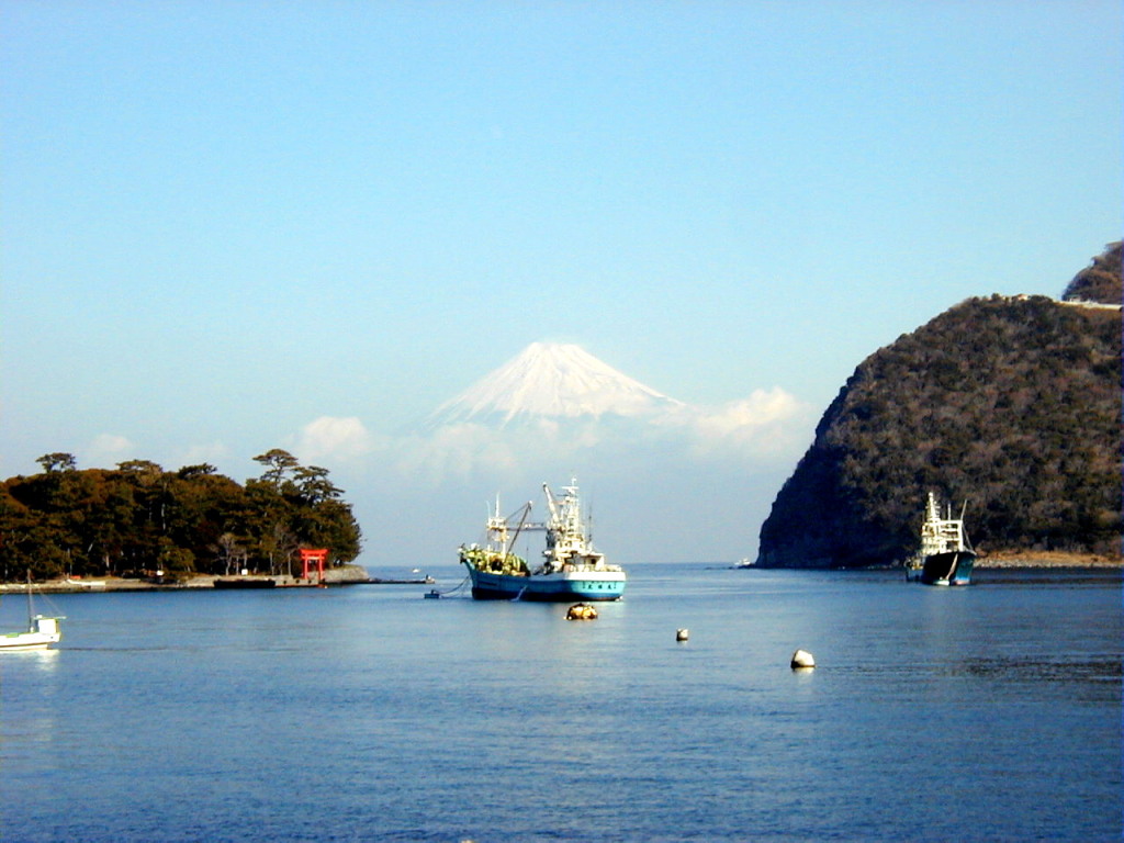 ��l�`����̕x�m�R