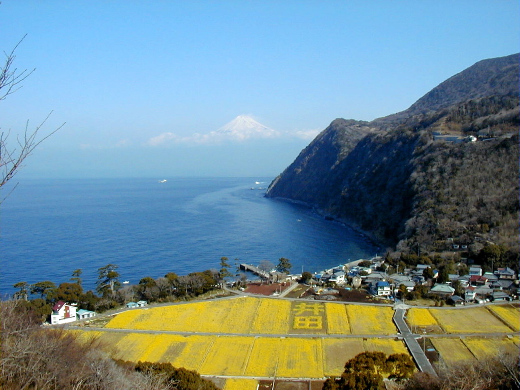 ��c����̕x�m�R