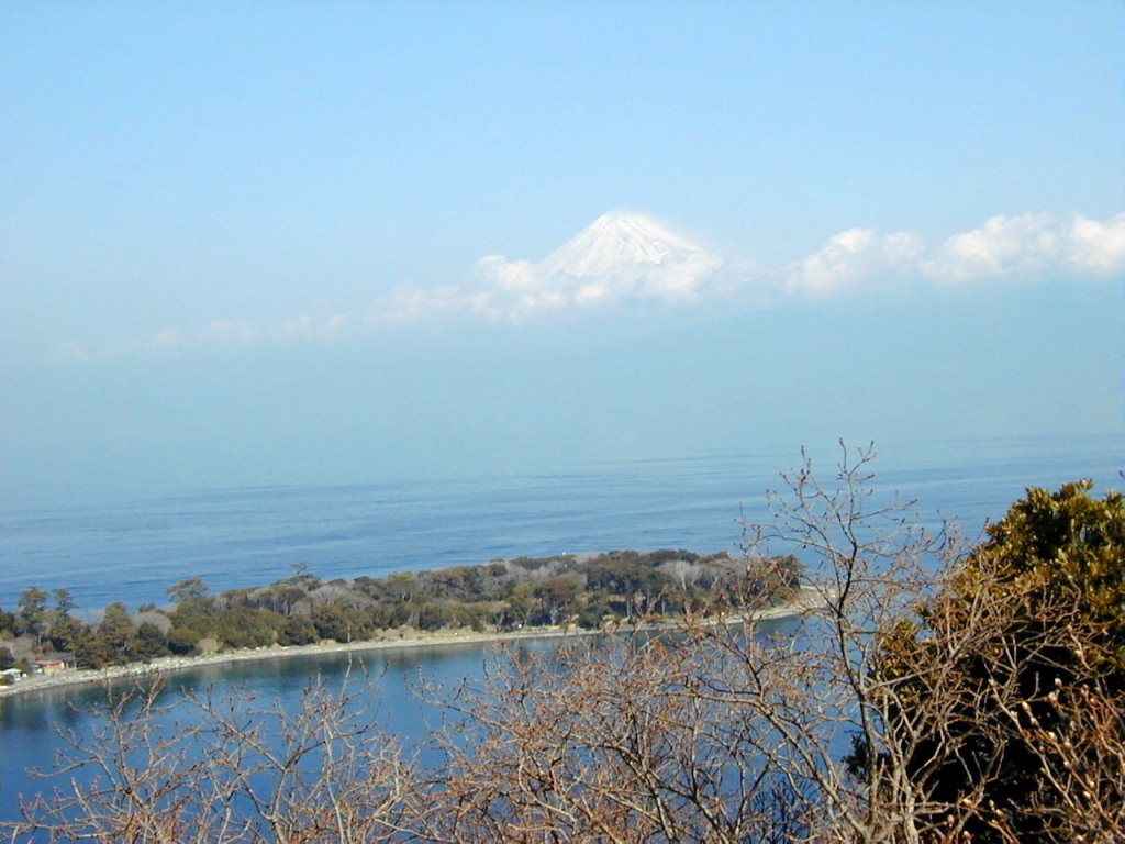 �吣�肩��̕x�m�R