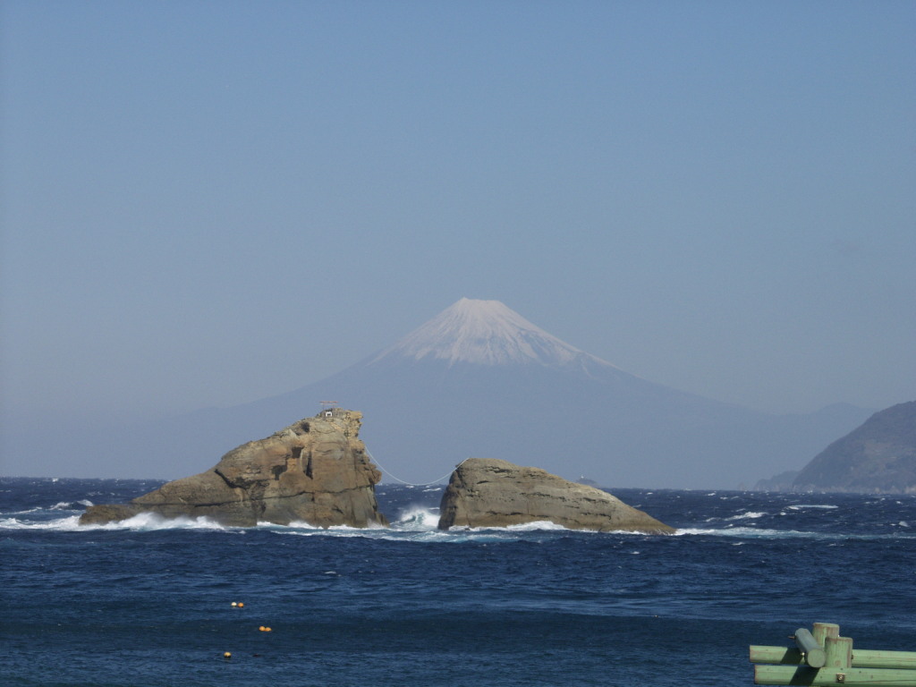 �_������̕x�m�R