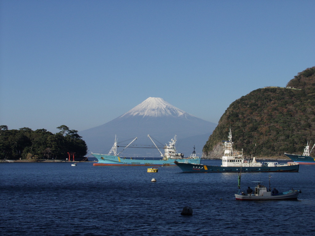 ��l�`����̕x�m�R