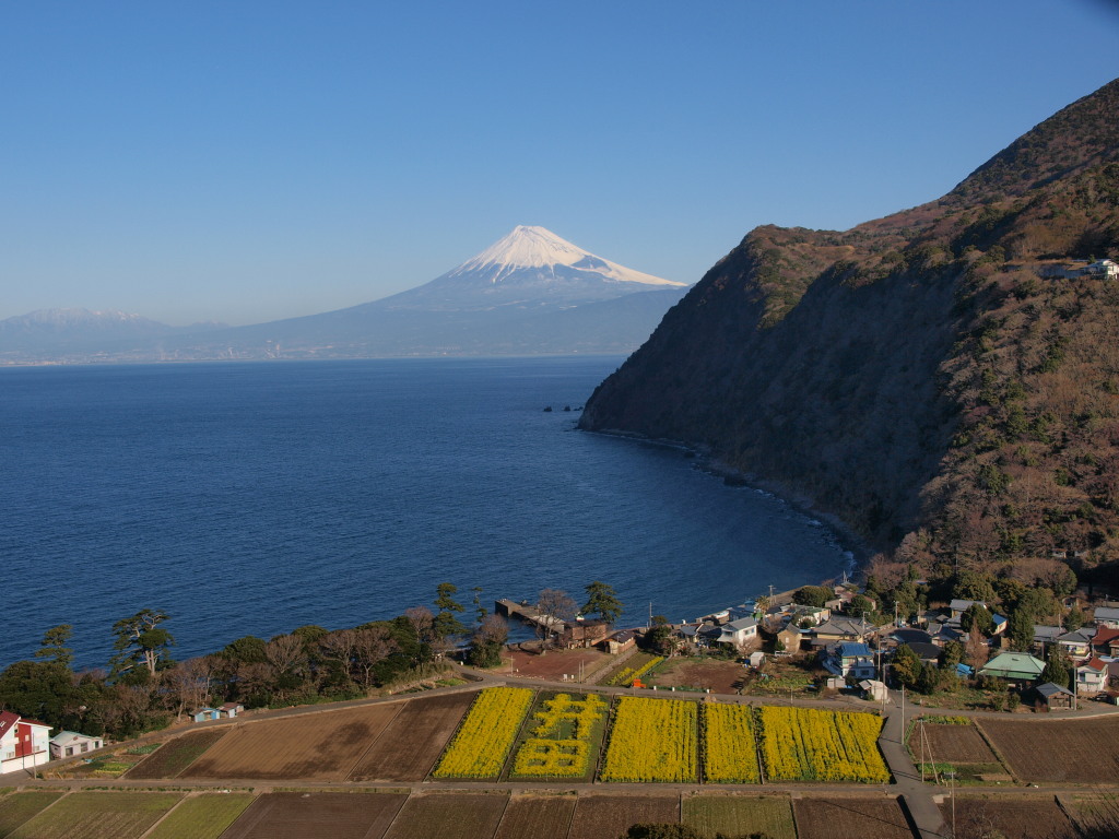 ��c����̕x�m�R