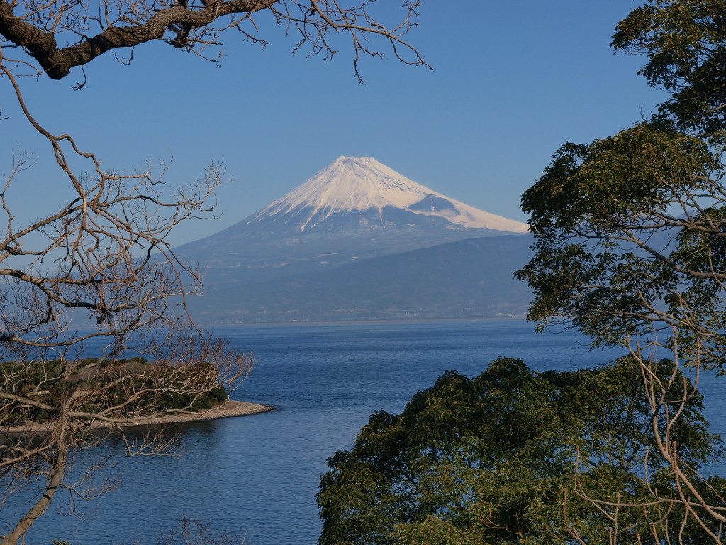 �吣�肩��̕x�m�R