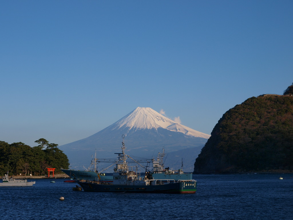 ��l�`����̕x�m�R