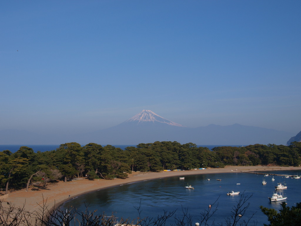 ��l�`����̕x�m�R