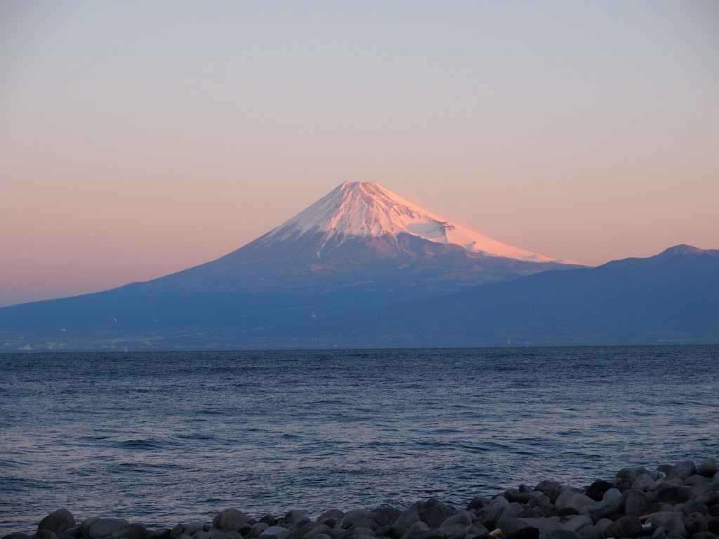 ��l�肩��̒��Ă��̕x�m�R